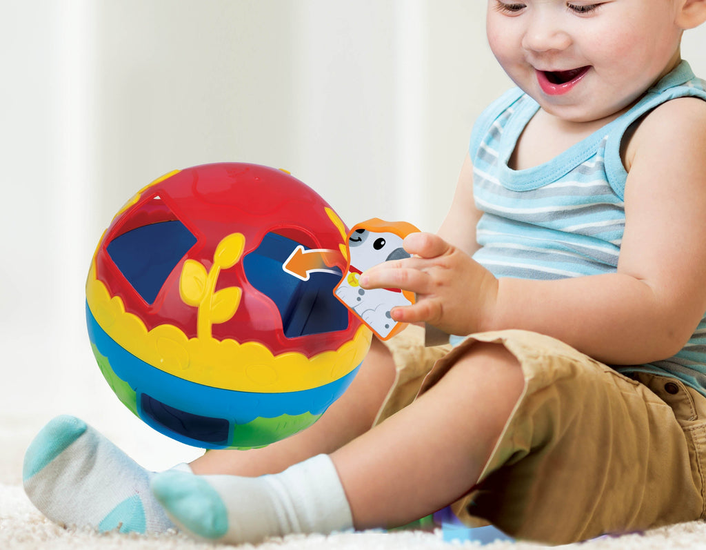 Colorful LIL' PLAYGROUND SORTER BALL by Winfun with various shapes and colors, designed for young children's play and early learning.
