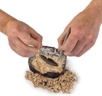 Multicolor Dino Fossil Dig Kit by Playzokids featuring tools, excavation blocks, and fossil replicas for educational fun.