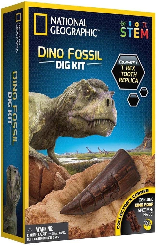 Multicolor Dino Fossil Dig Kit by Playzokids featuring tools and fossils for educational dinosaur excavation activities. Main image