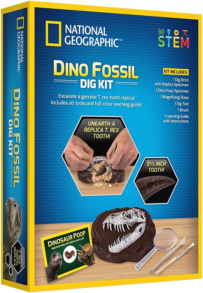 National Geographic Dino Fossil Dig Kit, Multicolor Secondary image